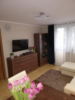 Apartament w centrum